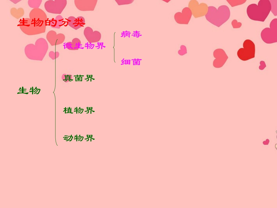 甘肃省白银市会宁县新添回民中学八年级生物下册-神奇的微生物课件_第2页