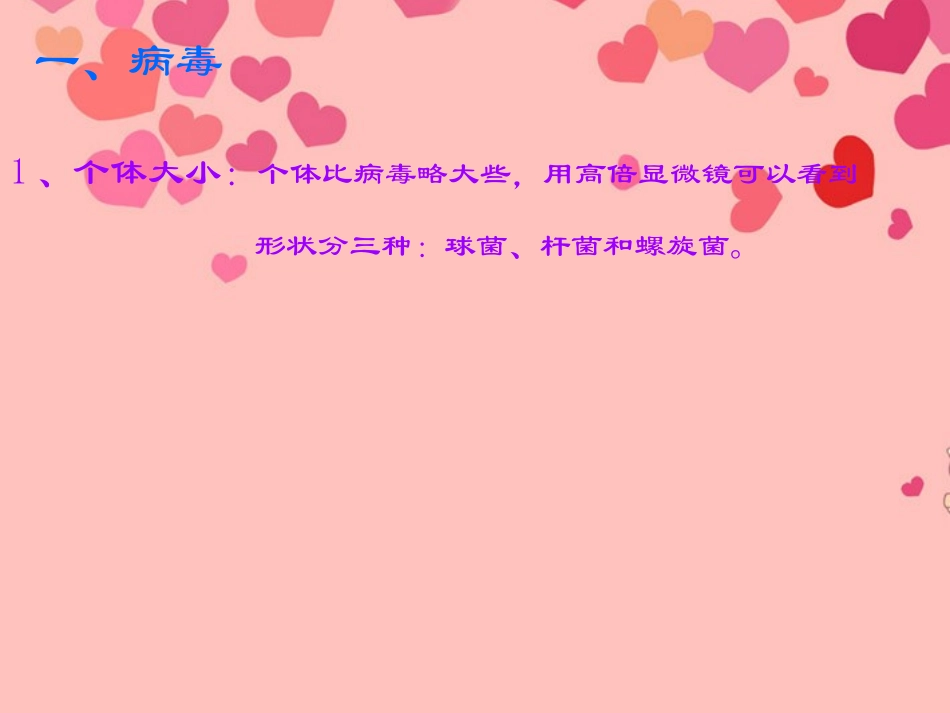 甘肃省白银市会宁县新添回民中学八年级生物下册-神奇的微生物课件_第3页