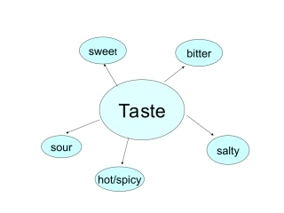 11.研学旅行方案设计与实施
