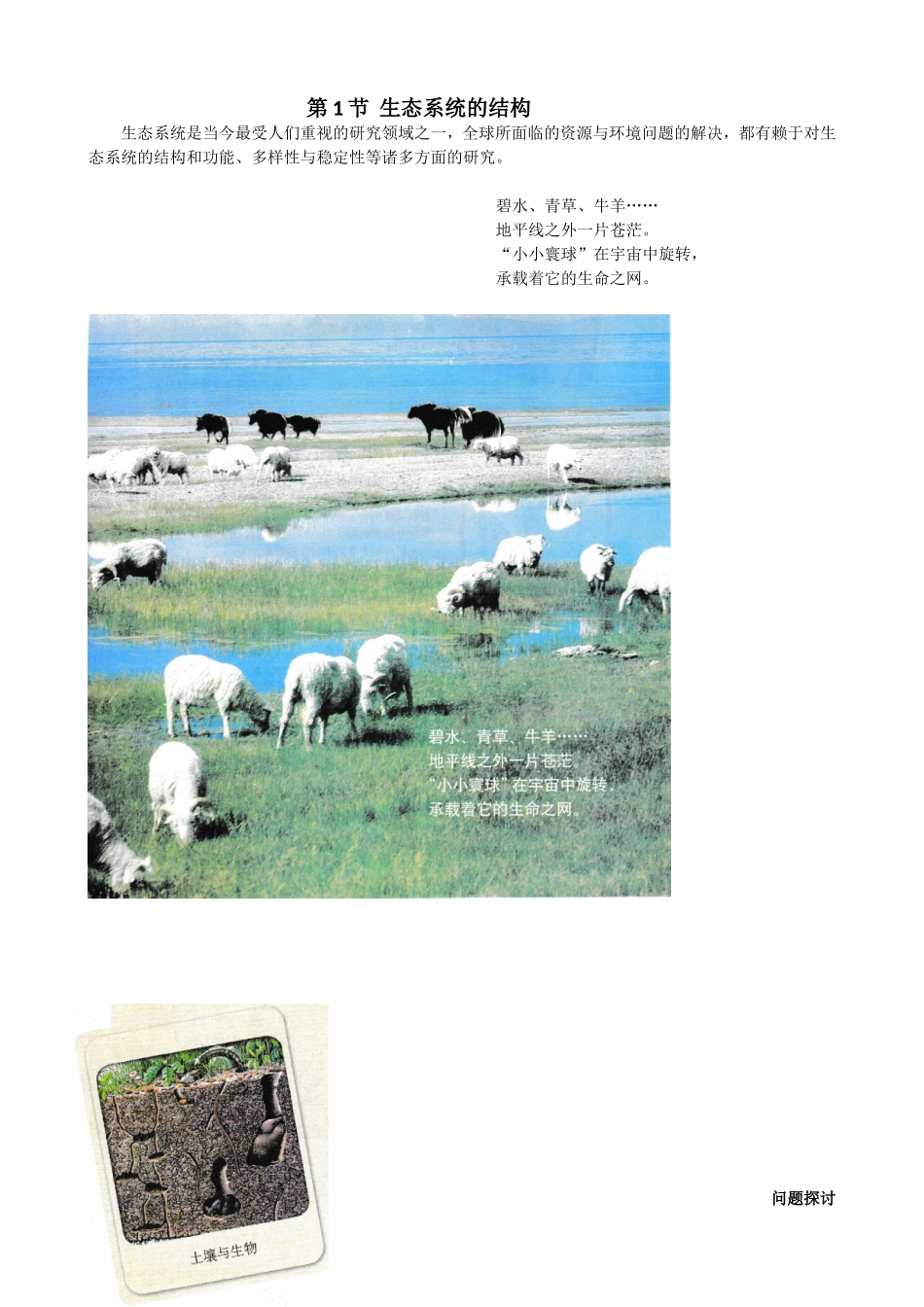 第一节生态系统的营养结构_第1页