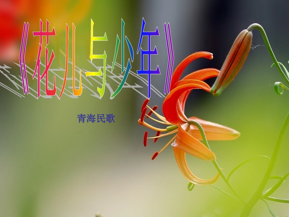 《花儿与少年》课件_第1页