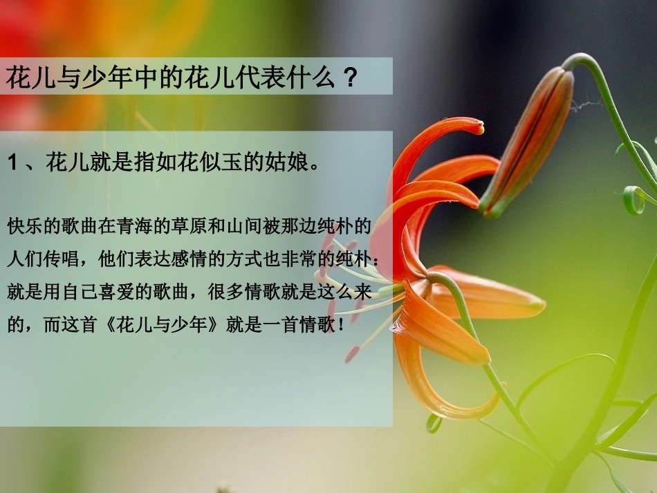 《花儿与少年》课件_第3页
