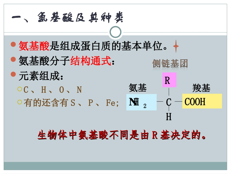 蛋白质的结构和功能_第3页