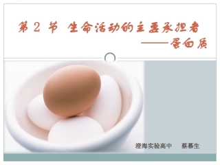 蛋白质的结构和功能