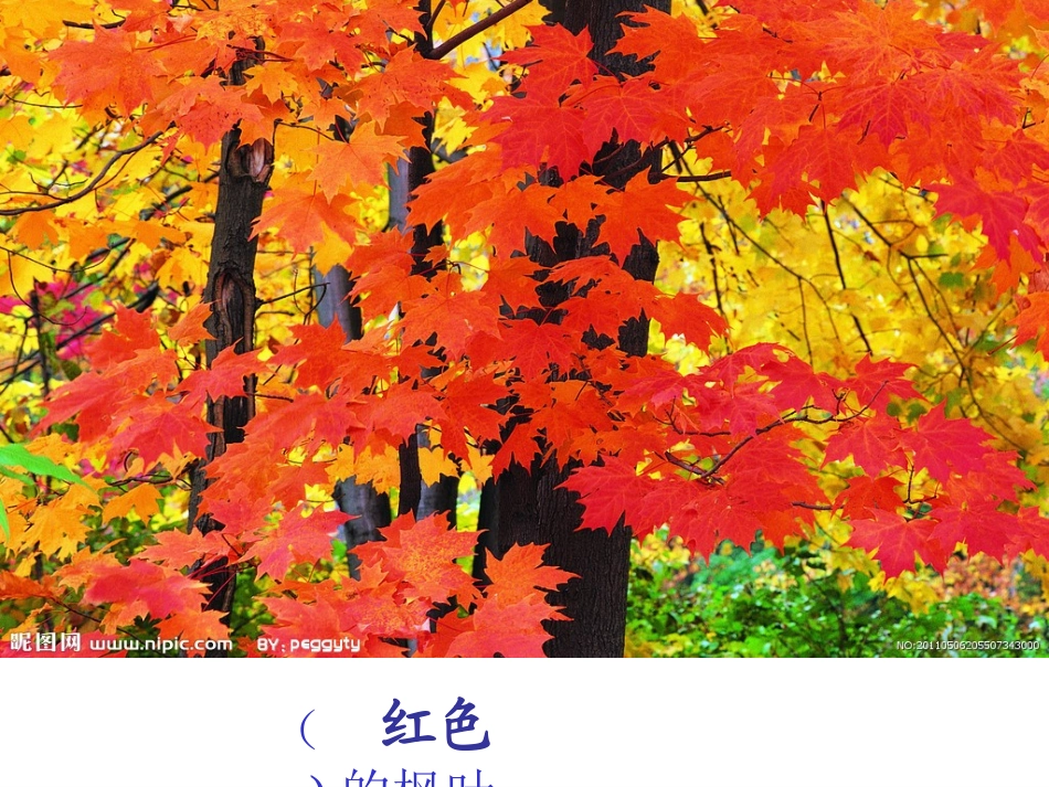 19-蓝色的树叶_第3页