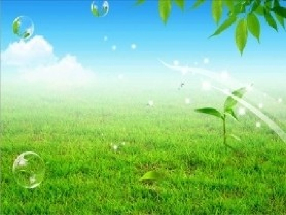 ppt模版.ppt_第1页