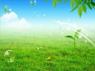 ppt模版.ppt