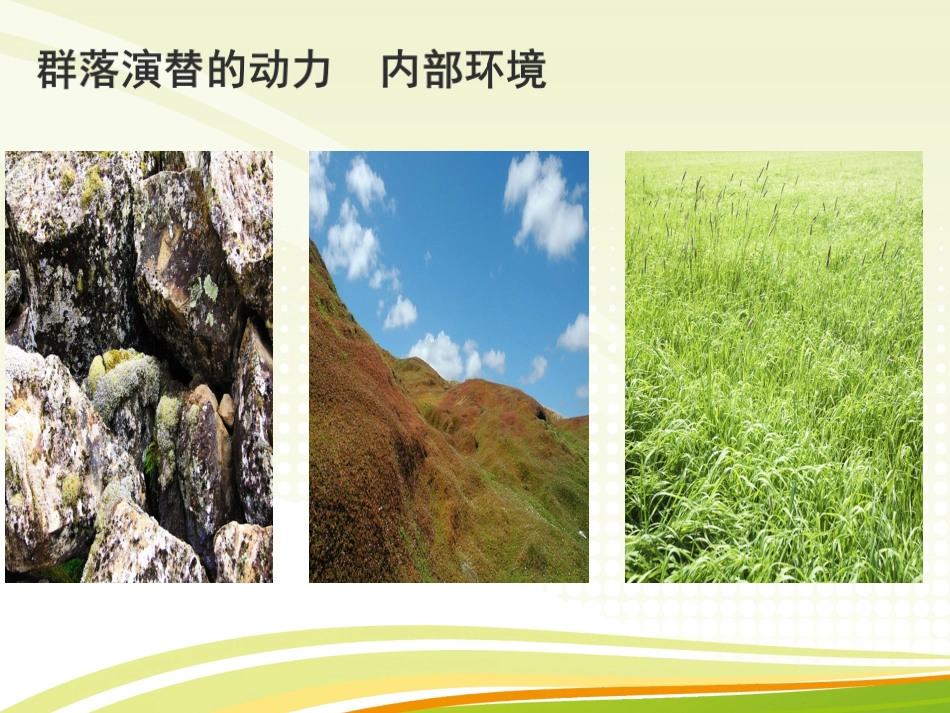 三群落的演替_第1页