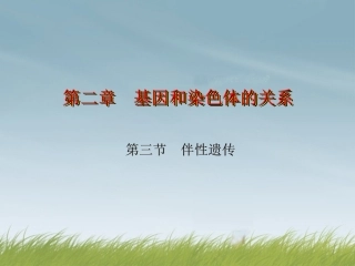 河北省邯郸市临漳县第一中学高中生物《23-伴性遗传》课件-新人教版必修2