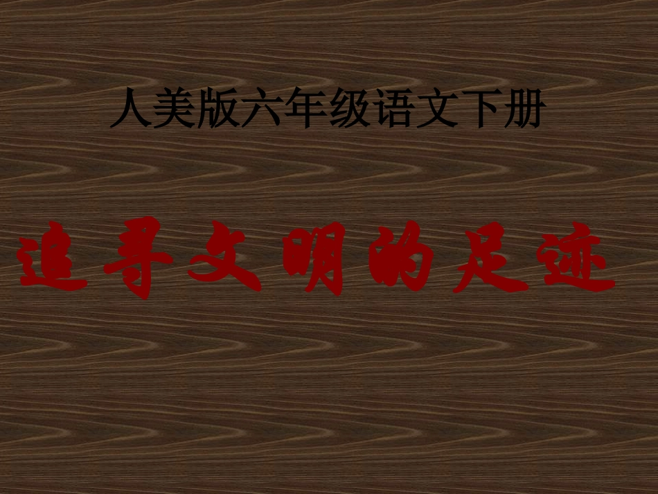 《追寻文明的足迹》课件1_第1页