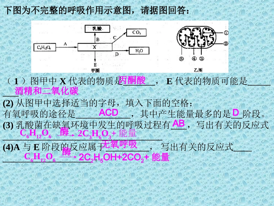 二细胞释放能量的途径——细胞呼吸_第3页