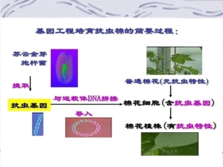 基因工程的一般过程与技术