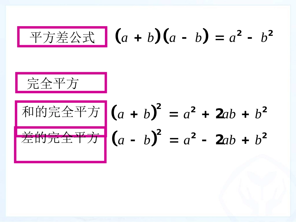 14.整式的乘法乘法公式的灵活运用_第2页