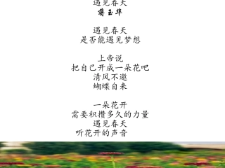 小恋小暖小文