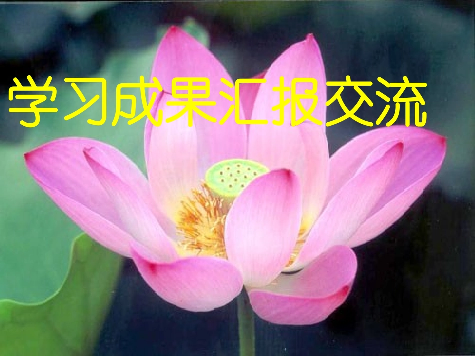 《莲文化的魅力》课件4_第3页