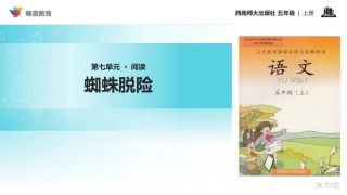 【教学课件】《蜘蛛脱险》(西南师大)