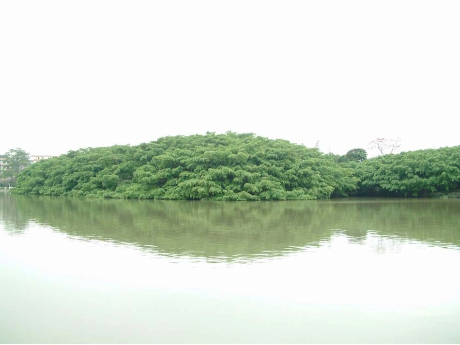 112鸟的天堂_第2页