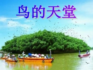 112鸟的天堂