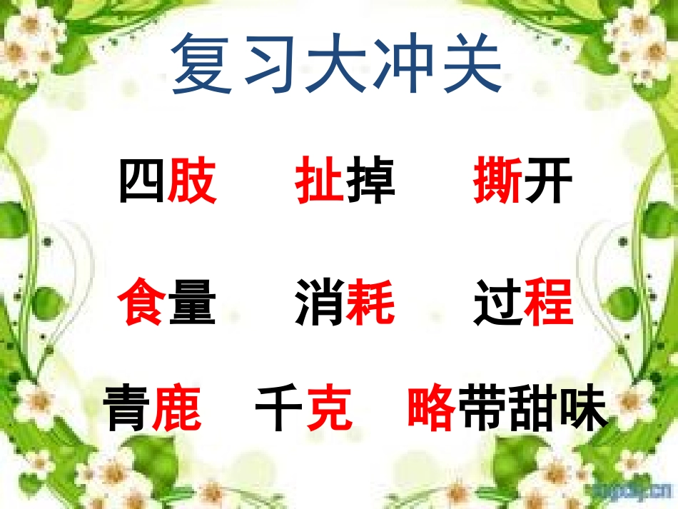 可爱的大熊猫二课时_第2页