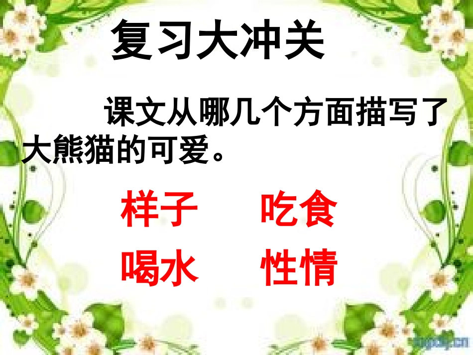 可爱的大熊猫二课时_第3页