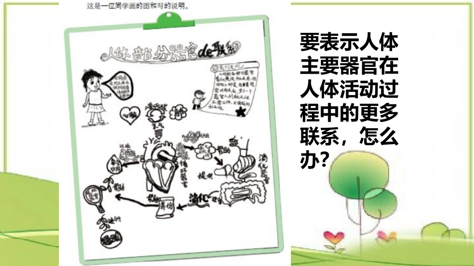 相互协作的人体器官_第3页