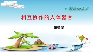 相互协作的人体器官
