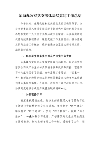 某局办公室党支部抓基层党建工作总结