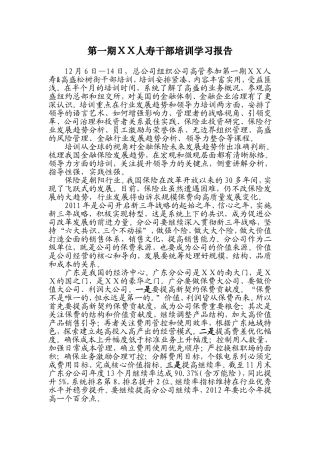人寿干部培训学习报告