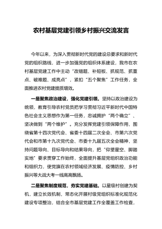 农村基层党建引领乡村振兴交流发言