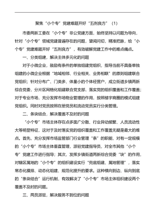 小个专党建工作经验材料范文4篇