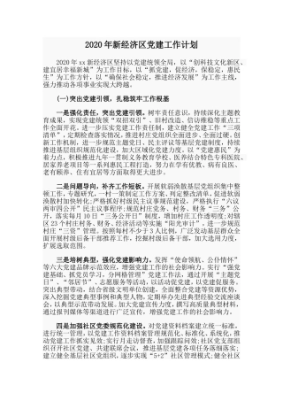 新经济区党建工作计划