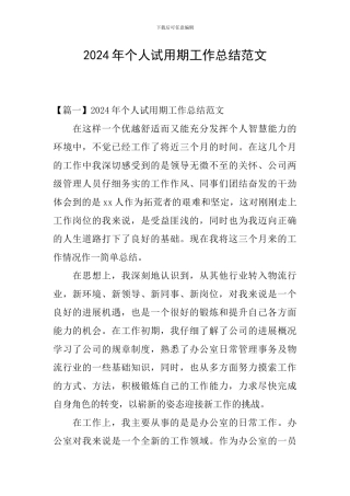 2020年个人试用期工作总结范文