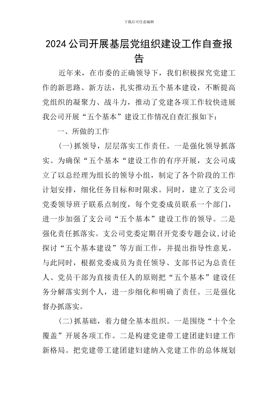 2024公司开展基层党组织建设工作自查报告_第1页
