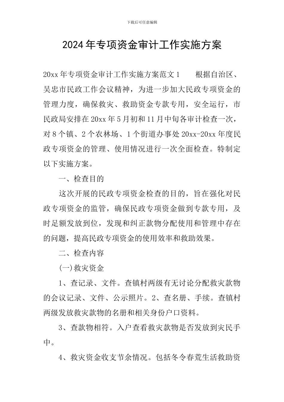 2024年专项资金审计工作实施方案_第1页