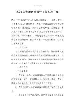 2024年专项资金审计工作实施方案