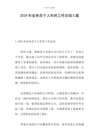 2024年业务员个人年终工作总结5篇