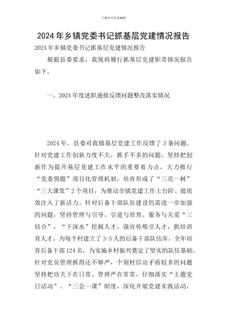 2024年乡镇党委书记抓基层党建情况报告