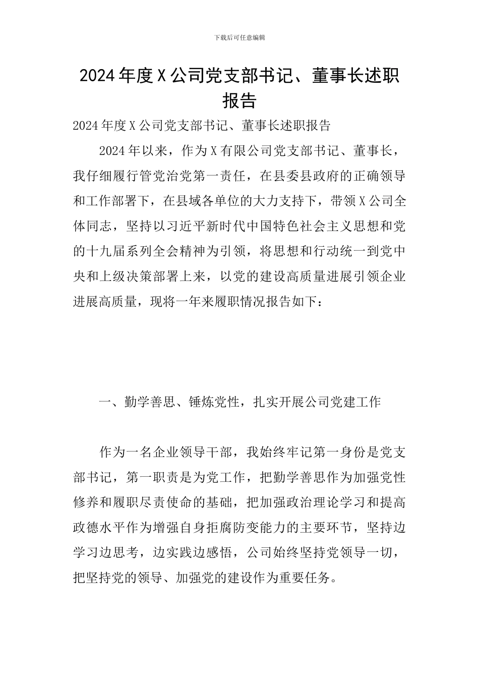 2024年度X公司党支部书记、董事长述职报告_第1页