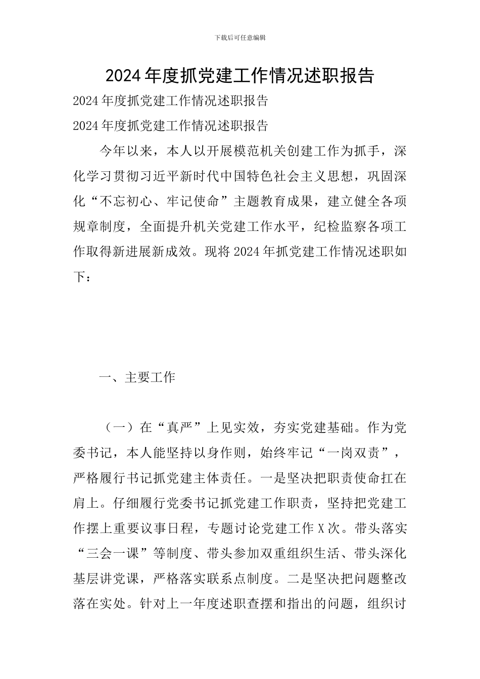 2024年度抓党建工作情况述职报告_第1页