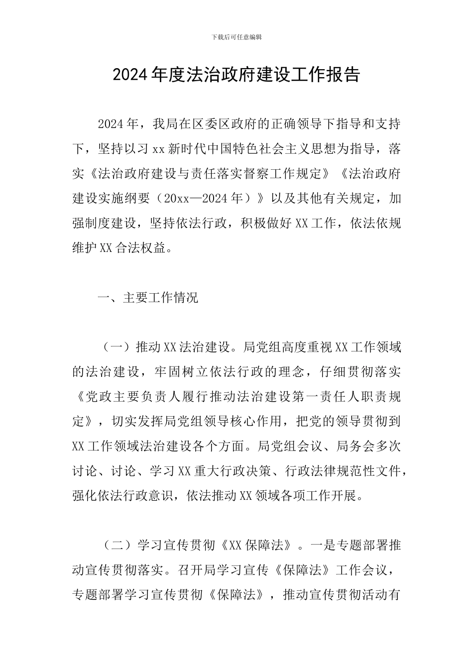 2024年度法治政府建设工作报告_第1页