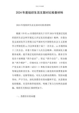 2024年度组织生活支部对照检查材料