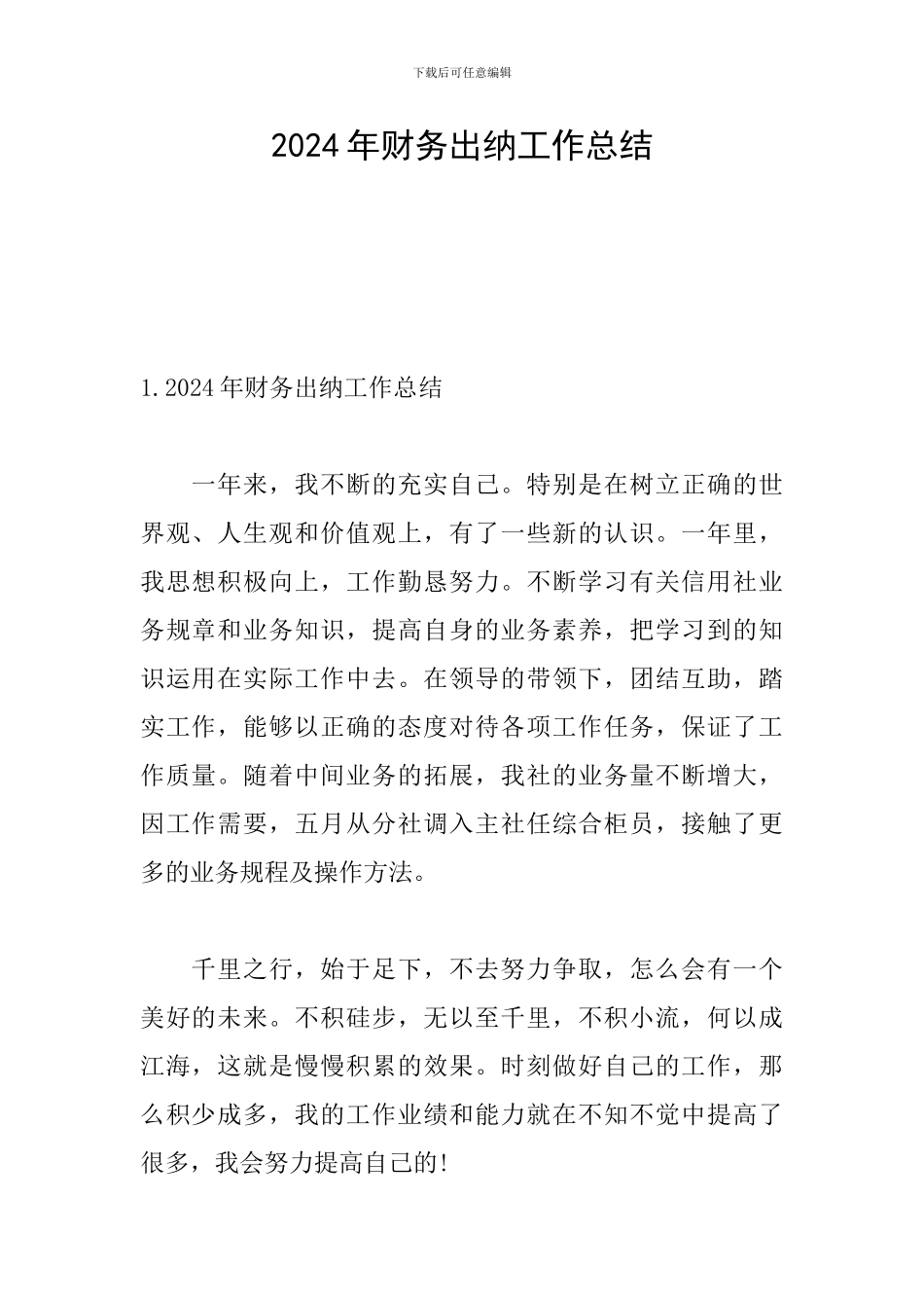 2024年财务出纳工作总结_第1页