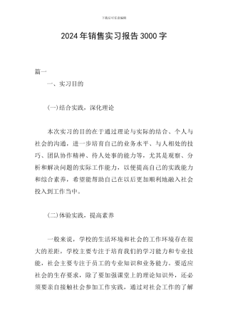 2024年销售实习报告3000字