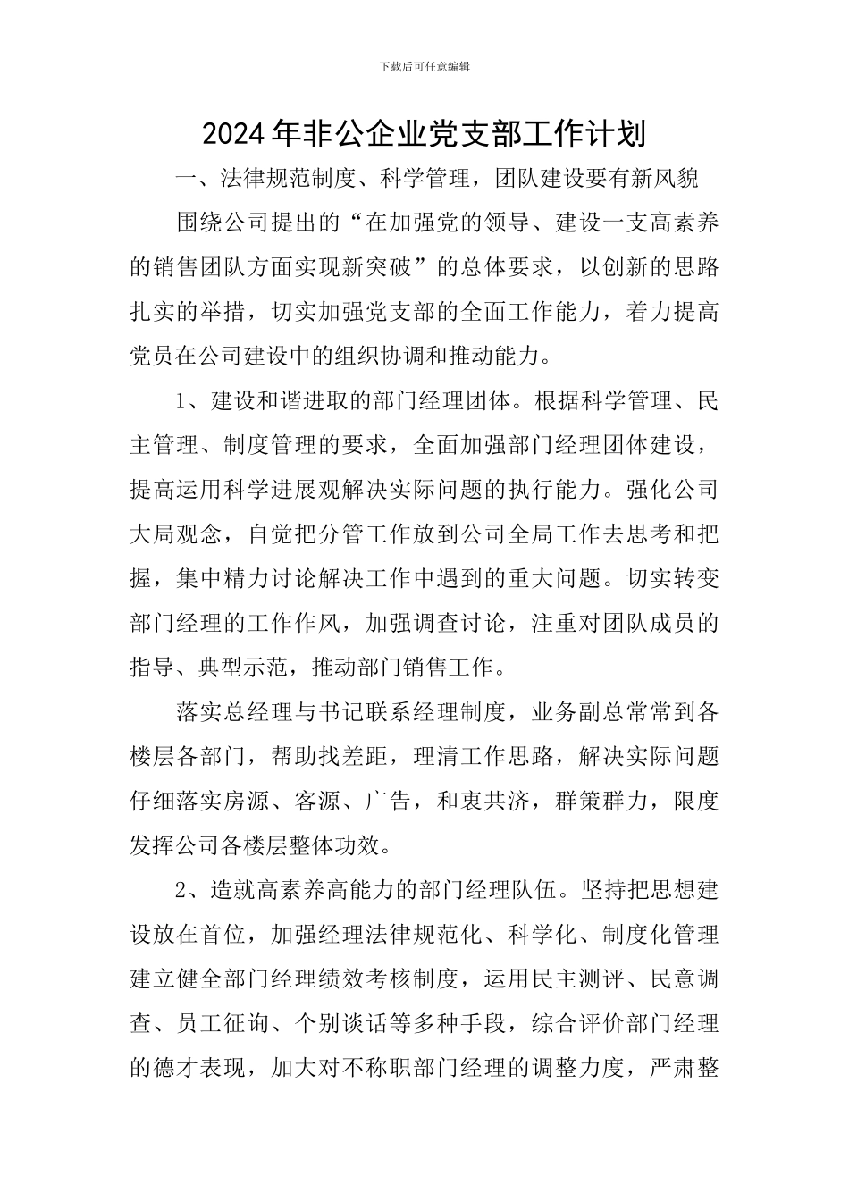 2024年非公企业党支部工作计划_第1页