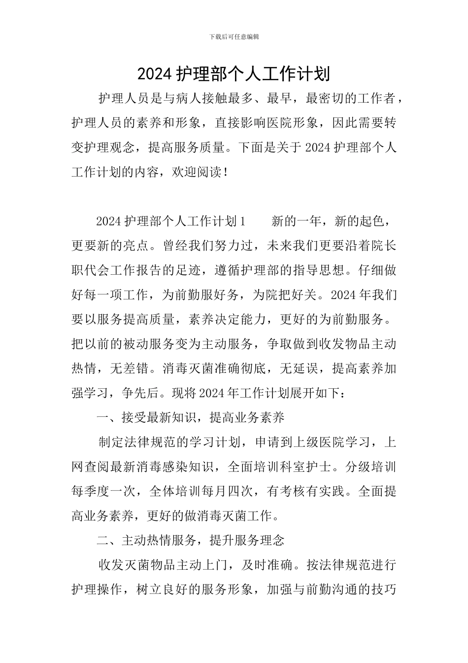 2024护理部个人工作计划_第1页