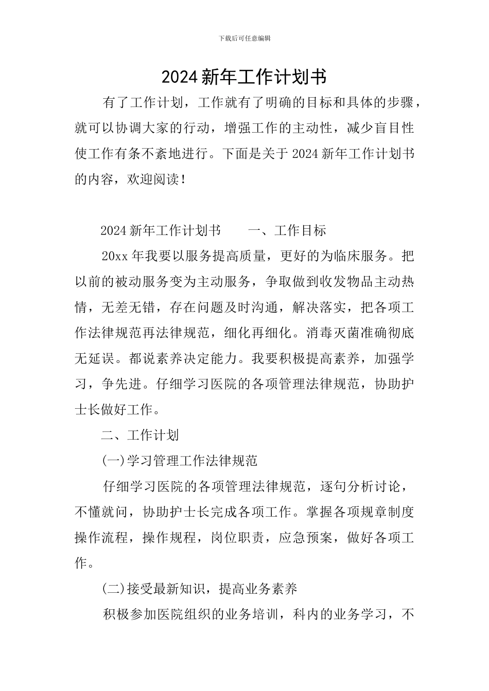 2024新年工作计划书_第1页