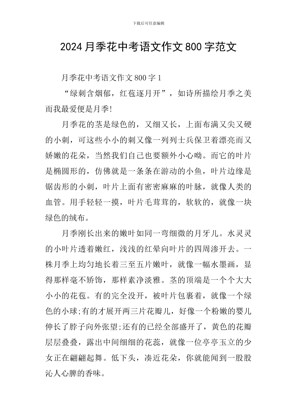 2024月季花中考语文作文800字范文_第1页