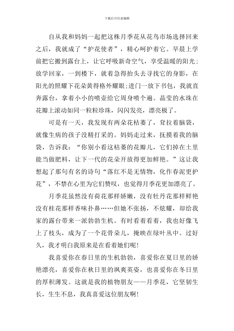2024月季花中考语文作文800字范文_第2页