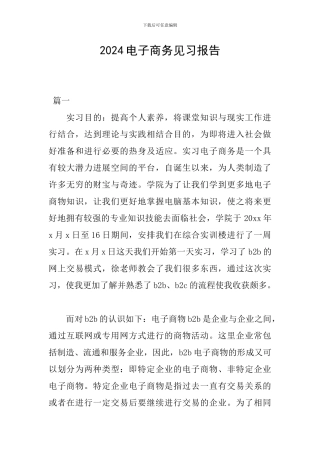2024电子商务见习报告