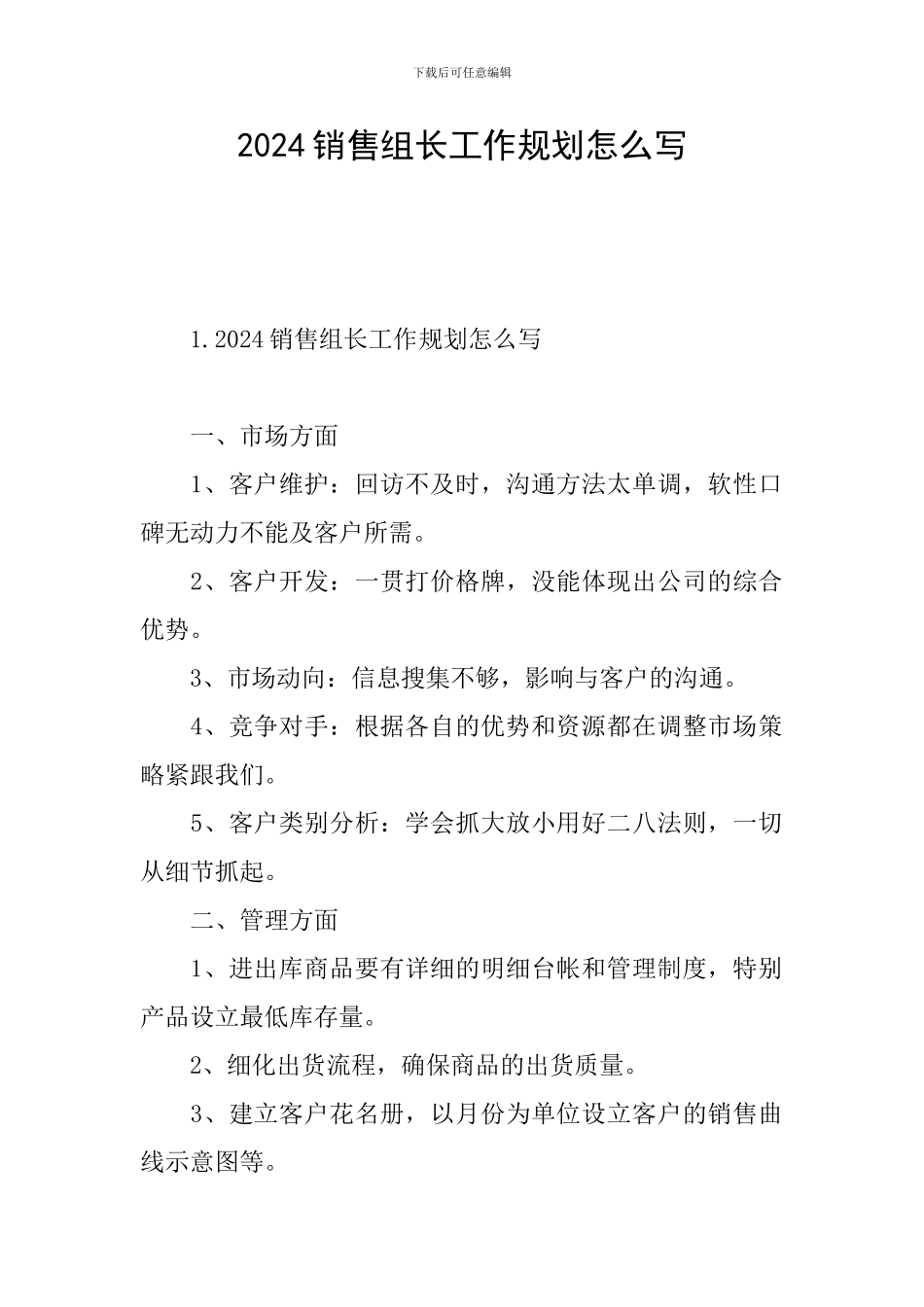 2024销售组长工作规划怎么写_第1页